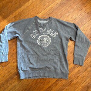 American Eagle Outfitters Crew Neck | Gray | Soft | Adult | Size Large